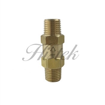 Brass Poppet Check Valve